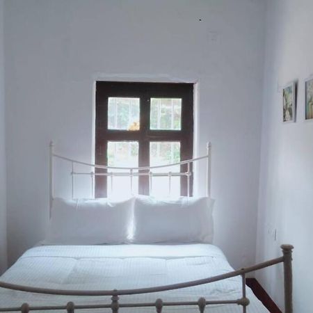 A Quaint Cottage With Rajah'S Seat View. Madikeri Kültér fotó