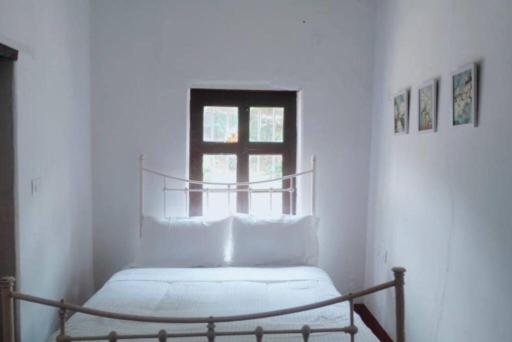 A Quaint Cottage With Rajah'S Seat View. Madikeri Kültér fotó