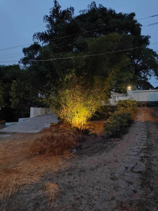 A Quaint Cottage With Rajah'S Seat View. Madikeri Kültér fotó